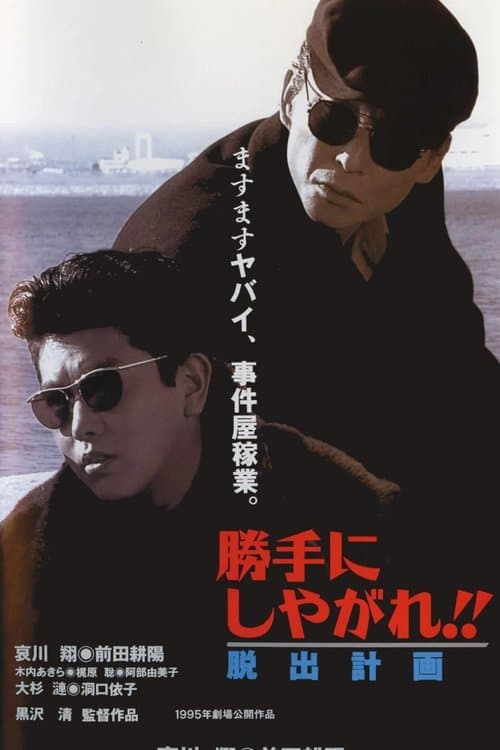 Director's Movie Image