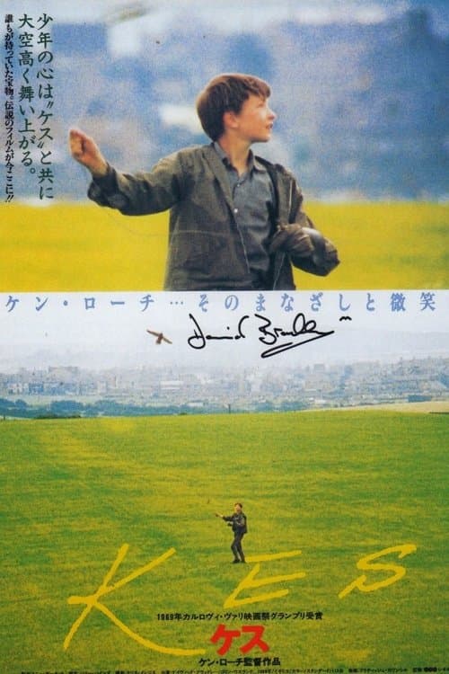 Director's Movie Image