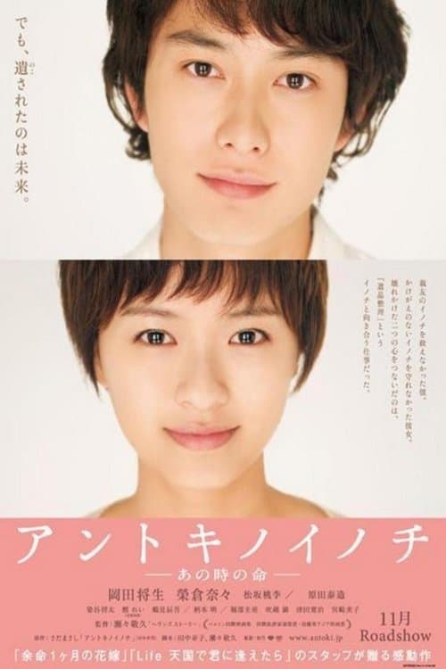 Director's Movie Image