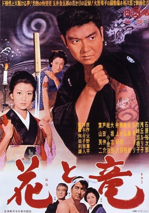 Director's Movie Image
