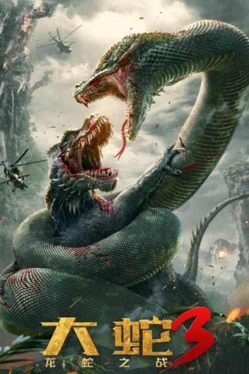 Director's Movie Image