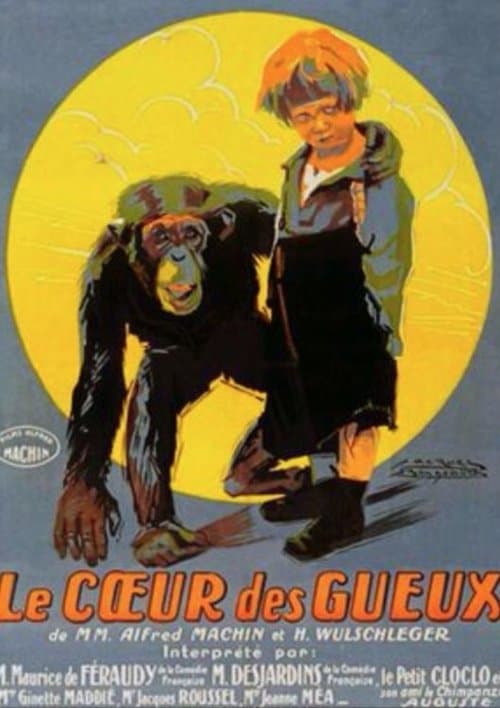 Director's Movie Image