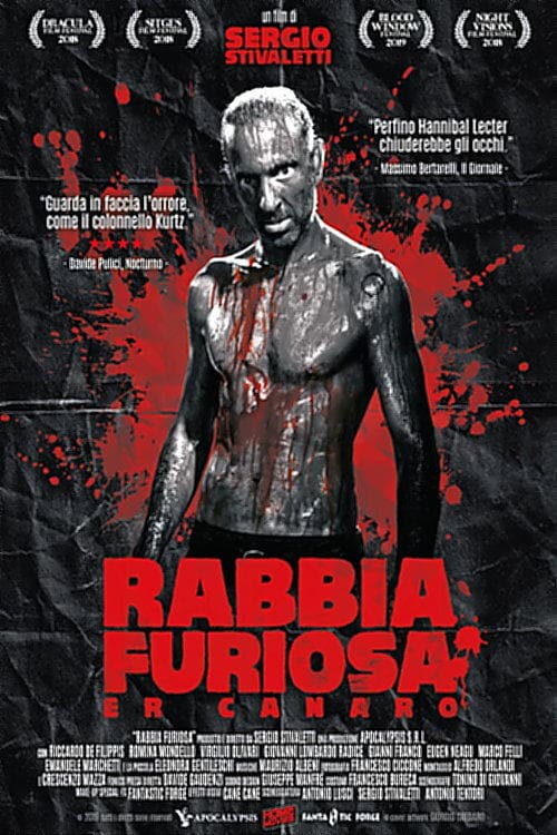 Director's Movie Image