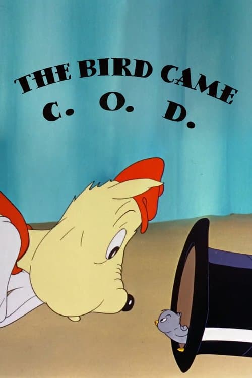 Director's Movie Image