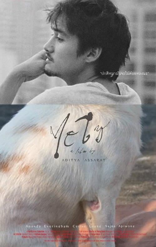 Director's Movie Image